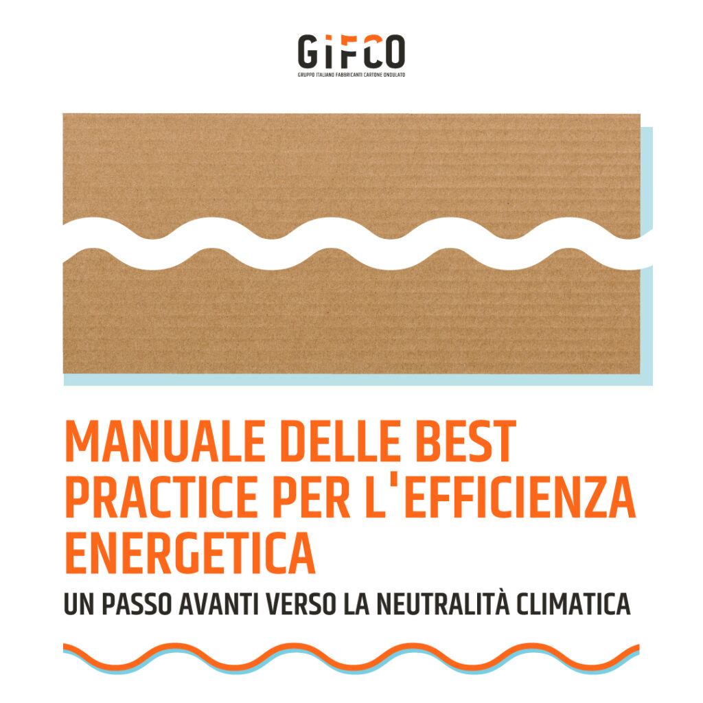 Manuale delle best practice per l'efficienza energetica